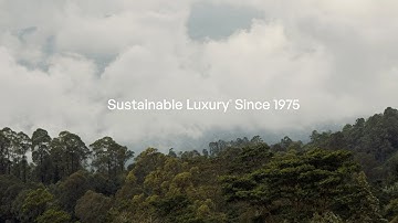 Sustainable Luxury Since 1975