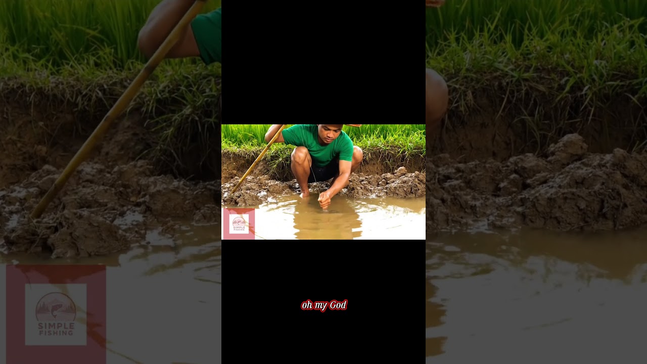 "Unbelievable Eel Catch in Farmland! 