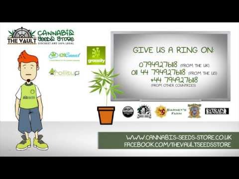 The Vault Cannabis Seeds Store