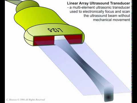 Linear Array Ultrasonic Transducer - Principle of Operation ANIMATION ...