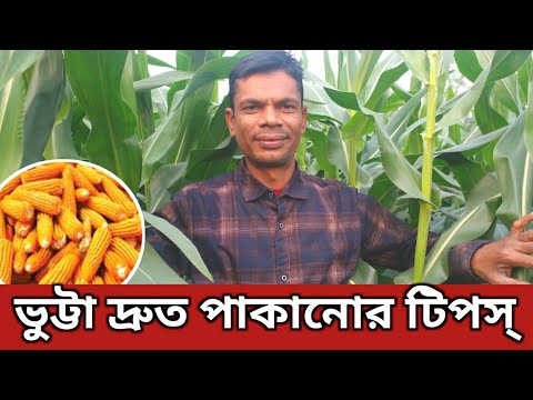 ভিডিও: ডিম ফ্রিজ করার 4 টি উপায়