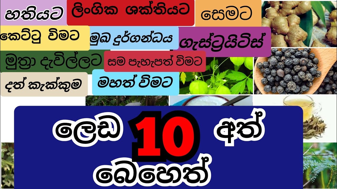 ලෙඩ 10 සුව කරන විශ්මිත බෙහෙත් වට්ටෝරුව Sinhala Ath beheth ayurveda