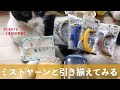 ミストヤーンと引き揃えてみる【本日の手芸】today's handicraft