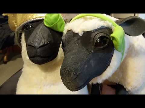 Brotherherd 2 0 - Episode One - Brotherherd 2 0 - Episode One
