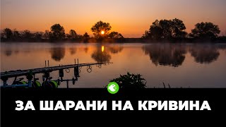 ЗА ШАРАНИ НА КРИВИНА - Риболов близо до София