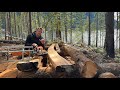 Chainsaw Milling a Curved Beam With My Granberg Mill