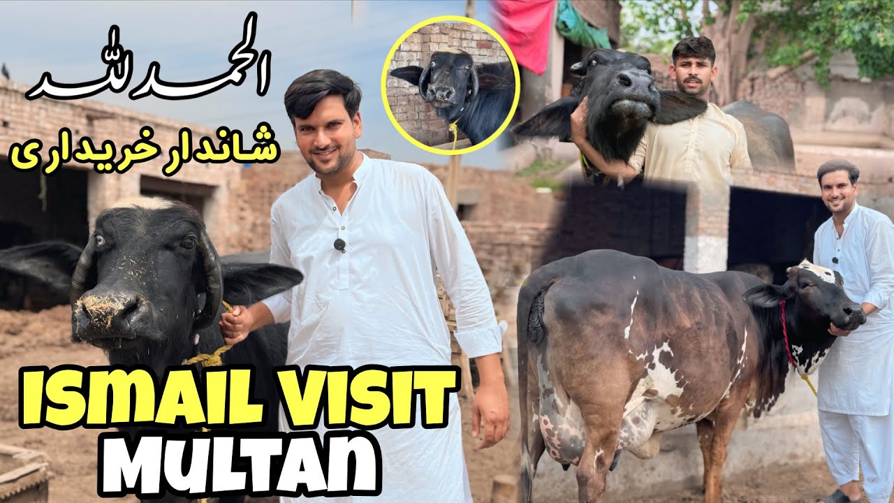 Ismail jutt Visit Multan - YouTube