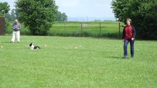 Julie in Obedience: directed sendaway