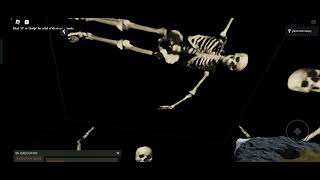 skeleton skybox