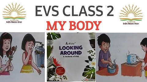 My body class 2/2nd/ii/EVS/looking around/kvs/cycle test 1/ncrt/#kvs #ncrt #kvexam #cbse #cycletest