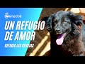 Visitamos un refugio de animales  en virrey del pino  refugio las renatas  conecta