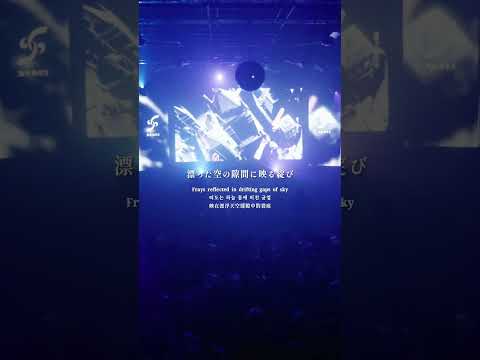 【100日間毎日投稿】96日目 M.O.D / memex #ライブ映像