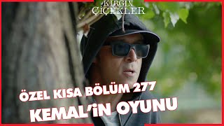 Kırgın Çiçekler Özel Kısa Bölümler | 277