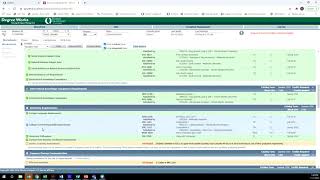 DegreeWorks Guide