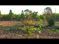 Setup Slow motion Sony ZVE10-II (ZVE10M2)