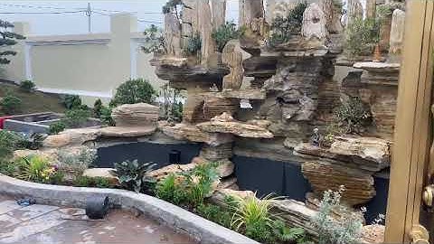 Thi công hồ cá Koi - hòn non bộ | thi công tiểu cảnh sân vườn