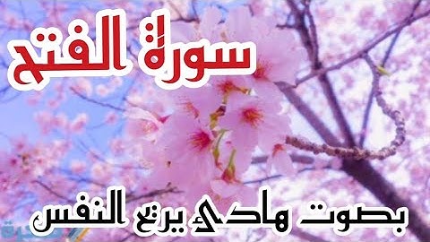 سورة الفتح بصوت هادئ يشعرك بالهدوء ويبعدك عن ضجيج الحياة