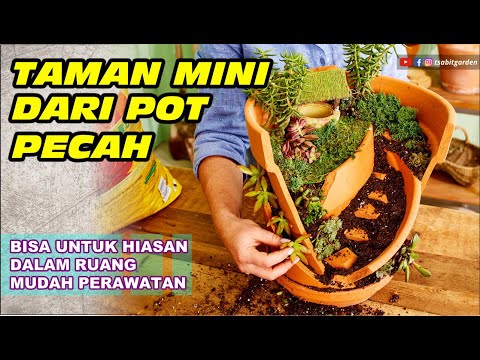 Video: Ide Taman Pot Rusak: Cara Membuat Taman Dari Pot Pecah