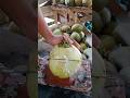 Amazing coconut cutting skills🌴🥥 #coconutcuttingskills #fruit #coconut #coconutrefreshment #mango