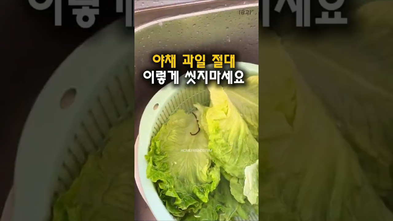 야채 과일 세정제 #과일세척 #꿀팁 #쿠팡추천템