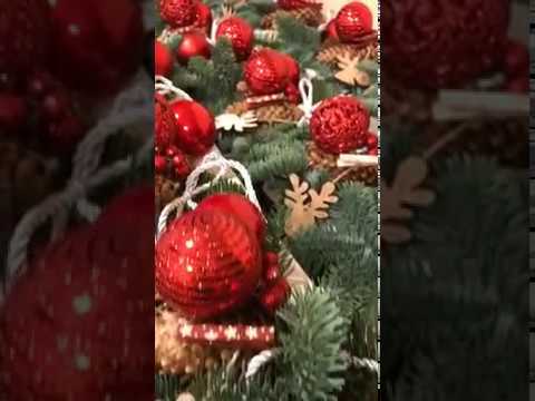 Video: Kaip Sukurti Kambarinių Augalų Kalėdinių Dovanų Išdėstymą