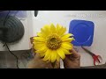 Drying Flower (Preservation) Using Silica Gel Sand