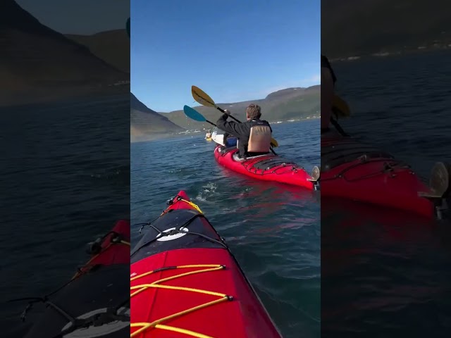 Kayaking in Isafjördur