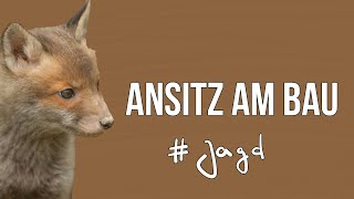 Freunde der Jagd - Folge 18 - Jagd auf Jungfüchse I Teil 2 - Der Ansitz