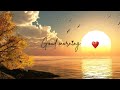 Love is a FEEL not a DEAL | New Good Morning WhatsApp Status | Beautiful Ringtone | Good Morning |