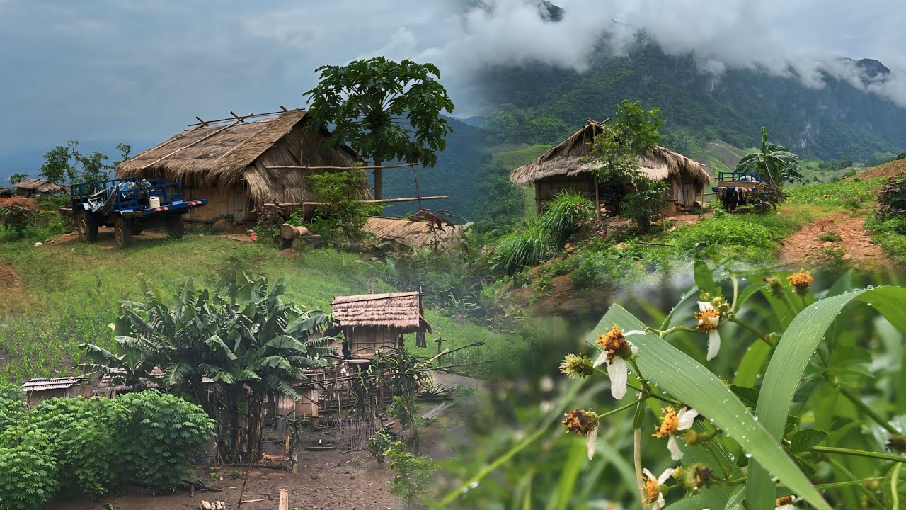 เดินทาง 10 กิโลเมตรไปกินต้มข้าวโพดกับชนเผ่าม้ง