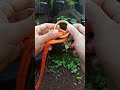 "bunny ears" popular knot among climbers👍 #knot #climbing #outdoors #bunnyears #fyp