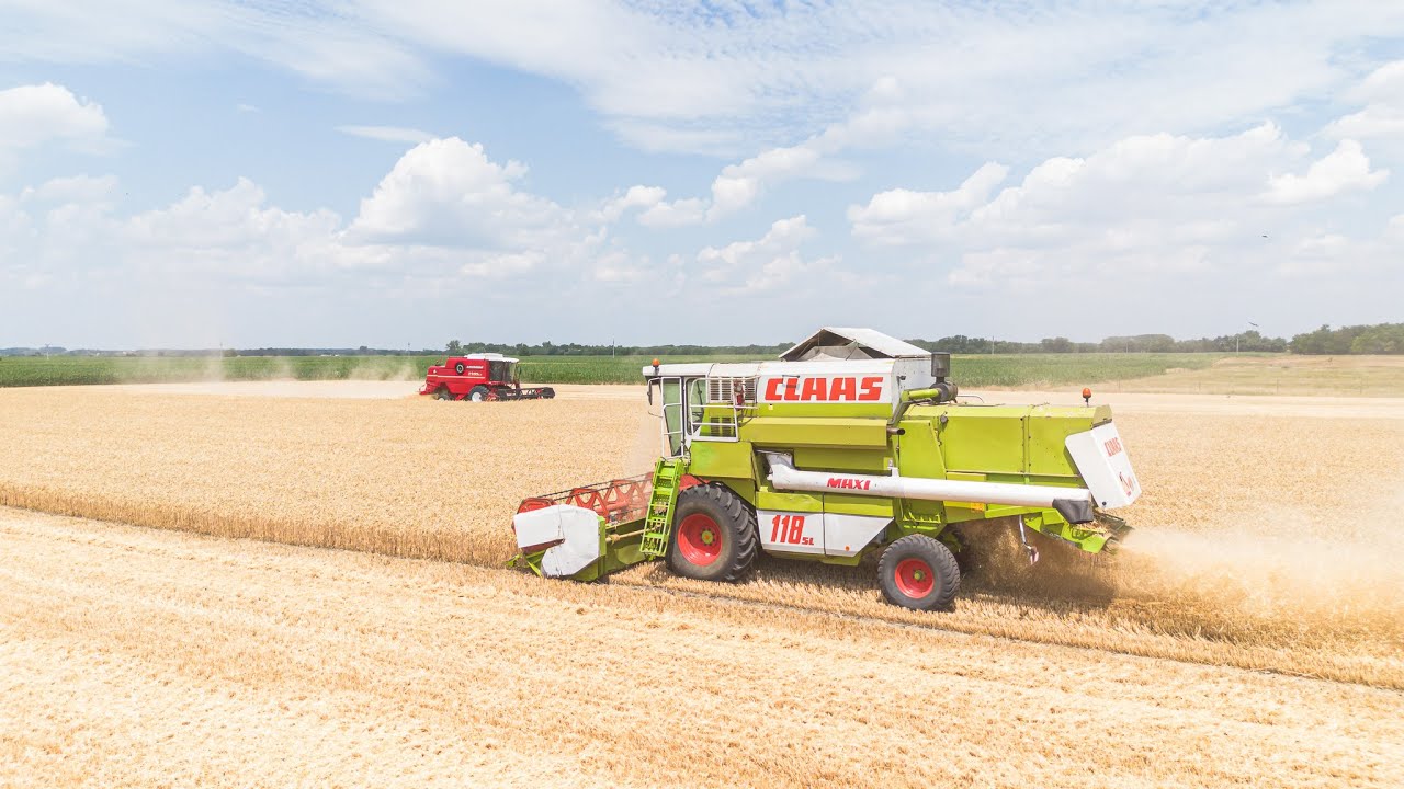 Wheat harvest 2025 - Laverda 2350 LX , Claas Dominator 118 SL - Agro-Rival