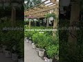 Sullivan Hardware & Garden | Indianapolis, IN #wheretogo #indianapolis #gardencenter