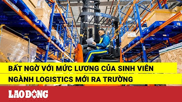 Bất ngờ với mức lương của sinh viên ngành Logistics mới ra trường | Báo Lao Động