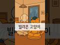 빌려온 고양이 #자기수행 #빌려온고양이