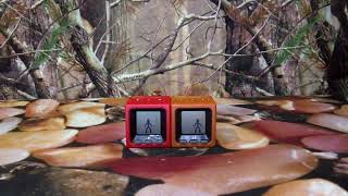 2005 Radica Games Cube World - Scoop and Dodger @FurbyForest