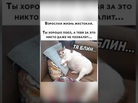 Мем | Взрослая