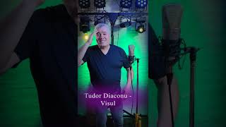 Tudor Diaconu  - Visul