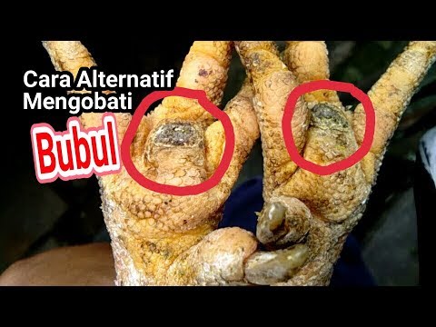 Video: Hut Pada Kaki Ayam: Apa Sebenarnya? - Pandangan Alternatif