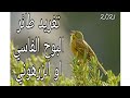 تغريد طائر البوح الفاسي او الزرهوني تغريد طائر البوح الفاسي او الزرهوني