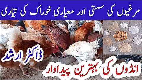 Chicken Feed | Low Cost Poultry Feed Formulation in Pakistan 2020 | Laying Ration | Dr Arshad