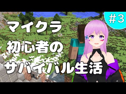 【マイクラ実況 java版】マイクラ初心者サバイバル生活 #3 ～ 第2拠点を整えるぞ！！～ 【たったそ】