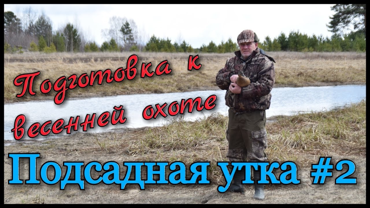Подсадная утка и охота с ней #2. Подготовка к охоте на селезня весной ...