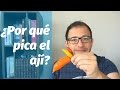 Capítulo 4 | ¿Por qué pica el ají? (¿y por qué igual lo comemos?)