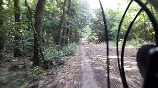 Šenkvický háj 🇸🇰 (Bicyklom po lesnej ceste)