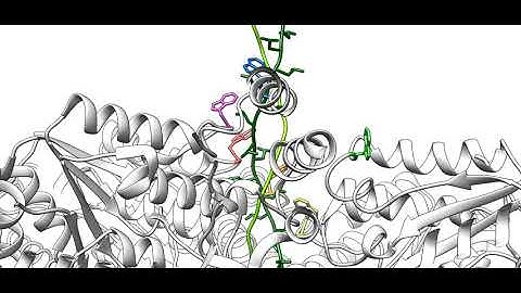 ATPase-mechanism