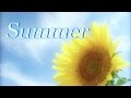 summer / 久石譲 ★エレクトーンELS02C