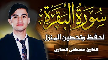 سورة البقرة للقارئ مصطفى انصارئ تلاوة خاشعة و مؤثرة 😌💚Surah Al-Baqara