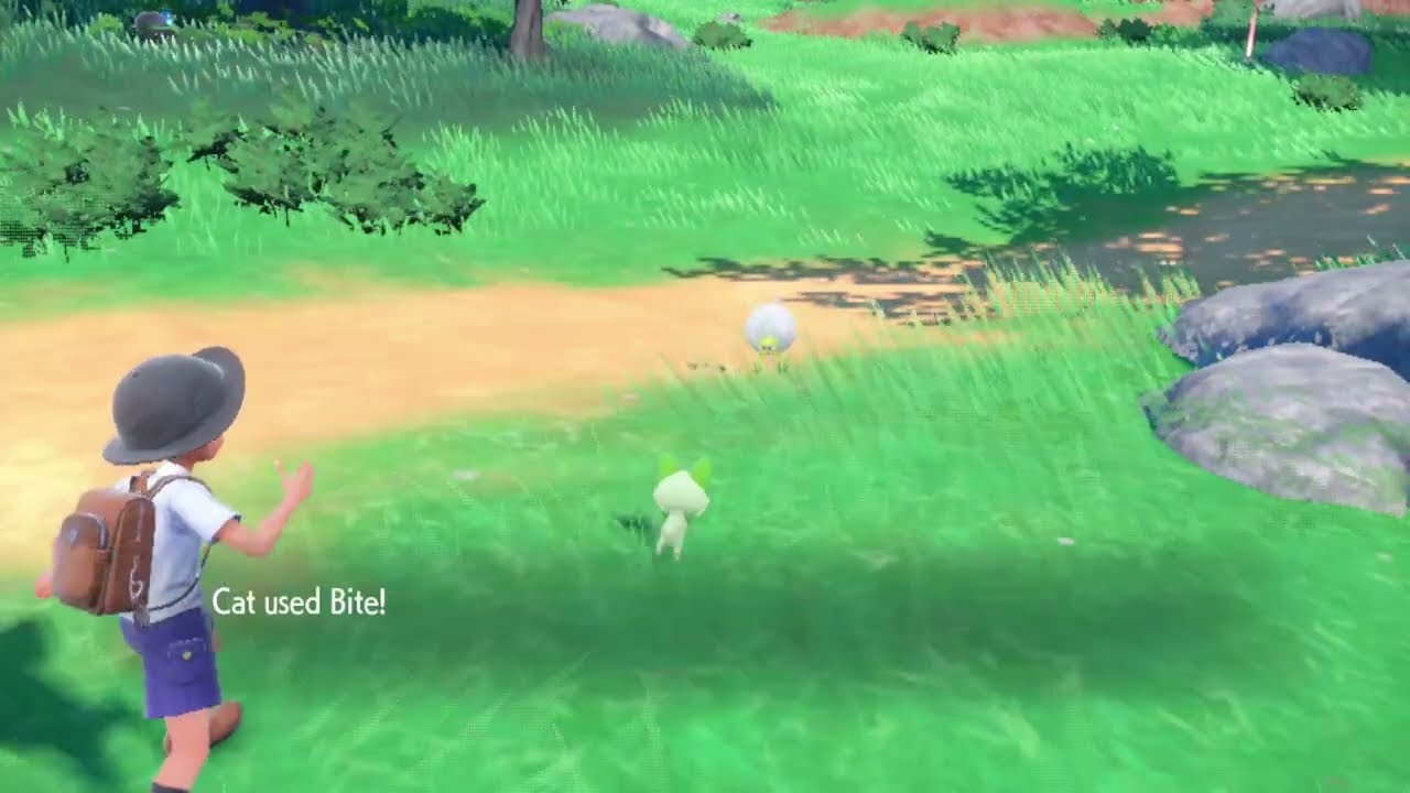 Ok auto battle | Pokémon Scarlet and Violet