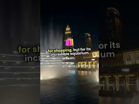 Discovering Dubai: Tradition Meets Modern Luxury! #dubai #uae #travel #facts #trending #shorts